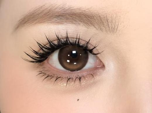 Ginomii半年抛品牌-顽皮榛果 商品图5