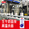 牛小赞冰川纯牛奶 商品缩略图7