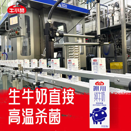 牛小赞冰川纯牛奶 商品图7