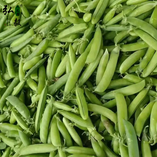 【弘毅六不用生态农场】六不用豌豆 青豌豆（干） 商品图1