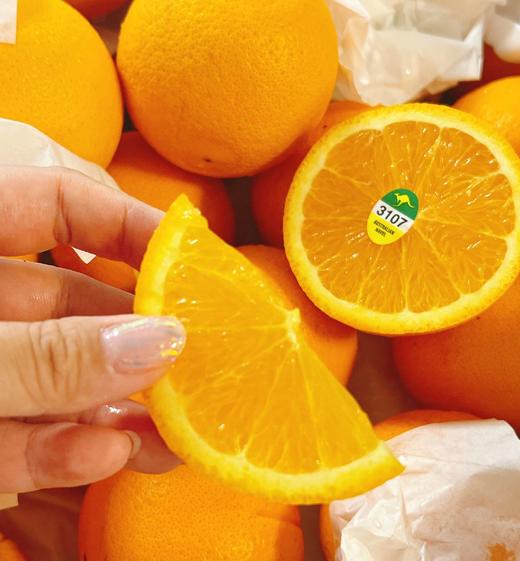 澳洲袋鼠阳光甜橙3107   | 进口水果 商品图0