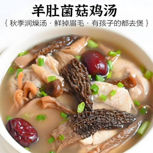 野生羊肚菌（干货） 30g 商品图2