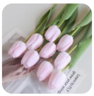 郁金香花（规格：支、单位：支） 商品图0