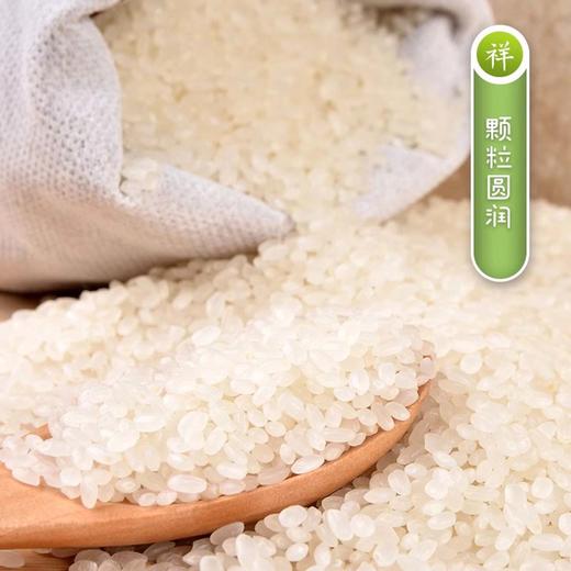 【会员专享】学良长粒香大米 10kg/袋 商品图2