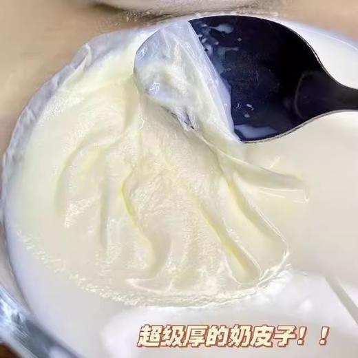 牛小赞3.6蛋白质纯牛奶（中国供销社款） 商品图4