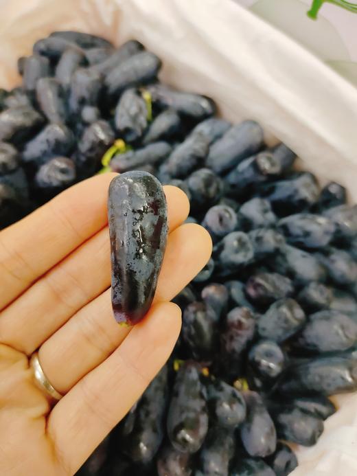美人指葡萄一箱 商品图4