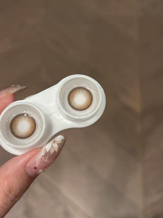 Ginomii半年抛品牌-顽皮榛果 商品图1