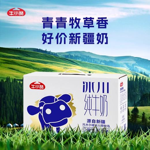 牛小赞冰川纯牛奶 商品图0