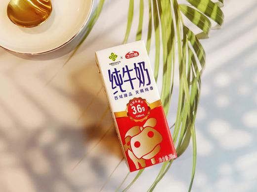 牛小赞3.6蛋白质纯牛奶（中国供销社款） 商品图12