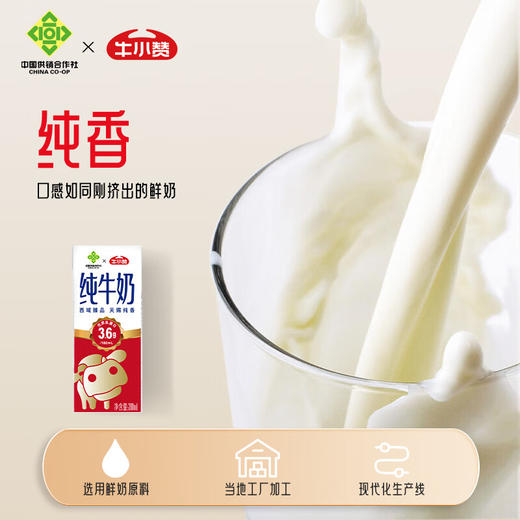 牛小赞3.6蛋白质纯牛奶（中国供销社款） 商品图5