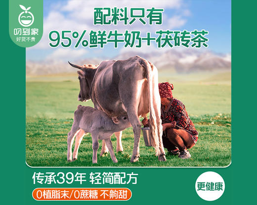 哈纳斯乳业新疆奶茶粉/1盒（20g*15条） 商品图4