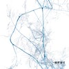 永生花材 | 文竹天蓝 商品缩略图1