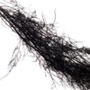 永生花材 | 文竹黑 商品缩略图0