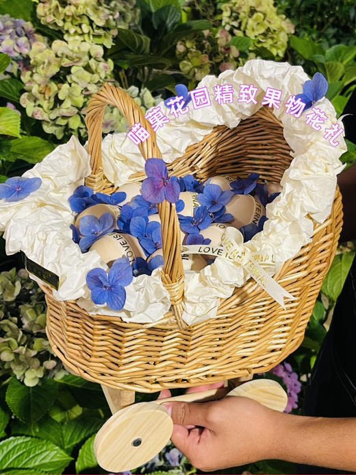 婴儿车款鸡蛋🥚蓝 商品图2