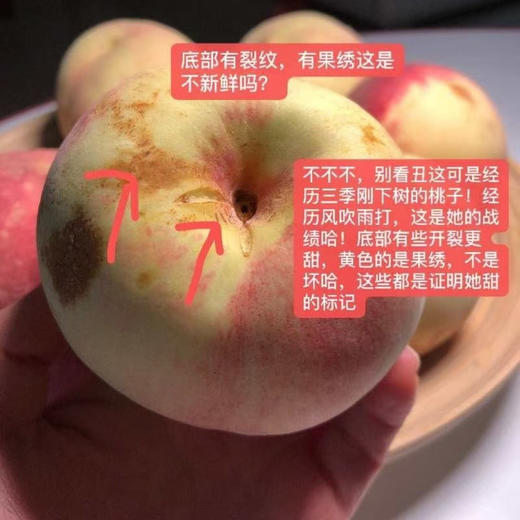 🔥【SGS 380项农残O检出】【99%复购率】山坡岩地秋桃 自然成熟 最有风味的桃 “吉尼斯记录”的桃
山东临沂发货 顺丰快递 阴凉干燥处保存 商品图5