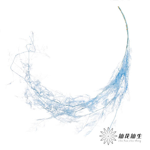 永生花材 | 文竹天蓝 商品图2