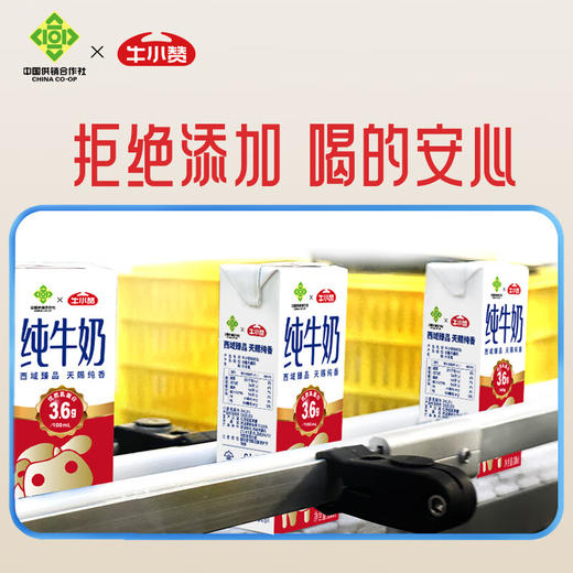 牛小赞3.6蛋白质纯牛奶（中国供销社款） 商品图8