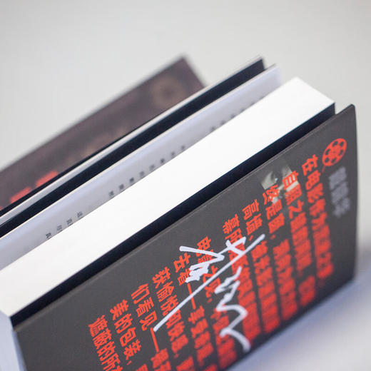 镜与世俗神话：经典电影十八讲 戴锦华 著 适合影迷进阶电影学生的电影课 影片精读电影评论电影批评 商品图2