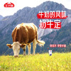牛小赞冰川纯牛奶 商品缩略图9