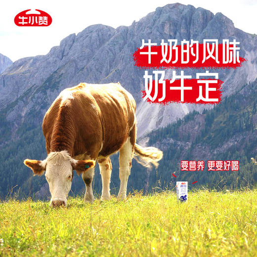牛小赞冰川纯牛奶 商品图9