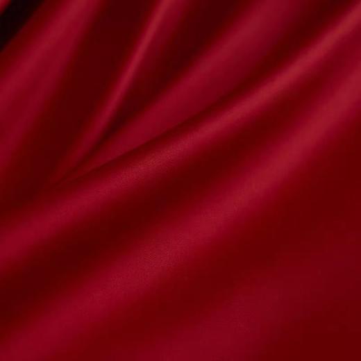 【春上新】10楼罗卡芙   浪漫欧式婚庆100支全棉七件套-爱的华尔兹240*240cm 吊牌价8980元 活动价3999元 商品图4