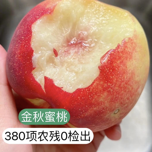 🔥【SGS 380项农残O检出】【99%复购率】山坡岩地秋桃 自然成熟 最有风味的桃 “吉尼斯记录”的桃
山东临沂发货 顺丰快递 阴凉干燥处保存 商品图0