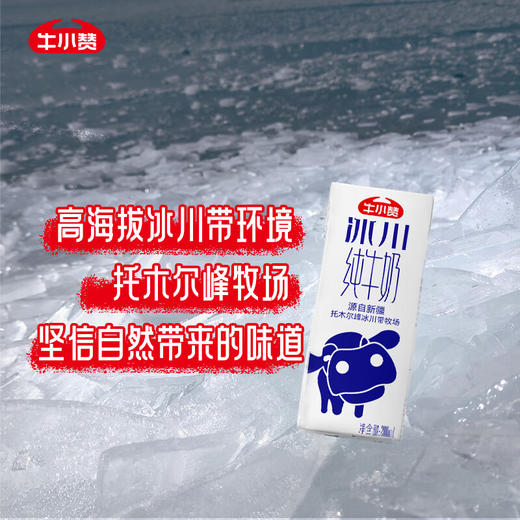 牛小赞冰川纯牛奶 商品图8