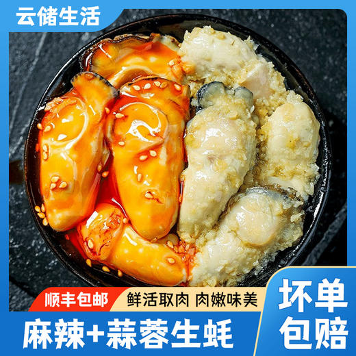 严选 | 云储生活 即食生蚝肉250g*6罐(麻辣3罐+蒜蓉3罐) 鲜活取肉 肉嫩味美 商品图0