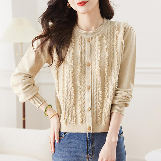 CC-XFY2239设计感流苏套头毛衣女短款秋冬季2024新款洋气高腰针织打底衫百搭 商品图1