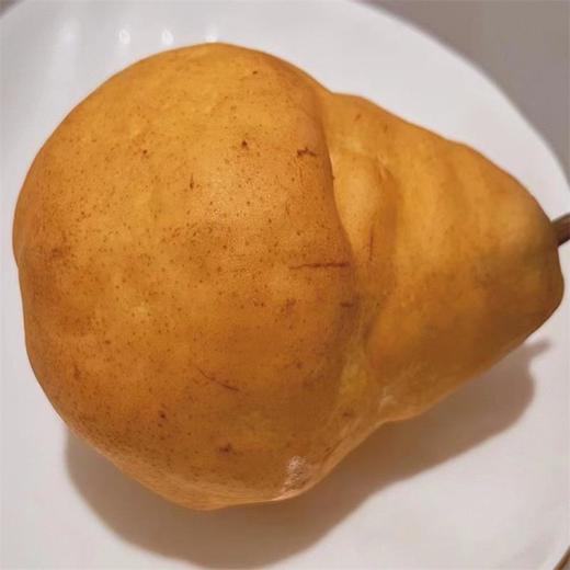 【丑梨】山东青岛丑梨  3斤/4.5斤   单果200g+整箱发货 商品图3