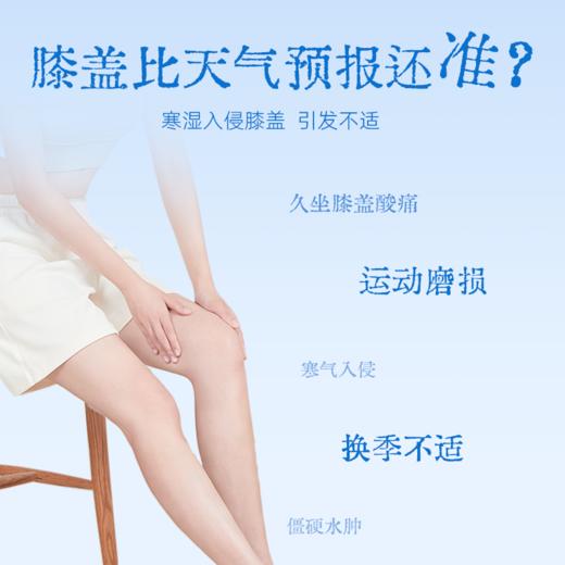 【真不二】大马士革玫瑰膝盖贴6盒装套组Y 商品图1