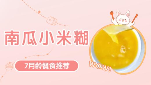 7月龄：南瓜小米糊 商品图0