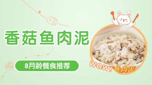 8月龄：香菇鱼肉泥 商品图0