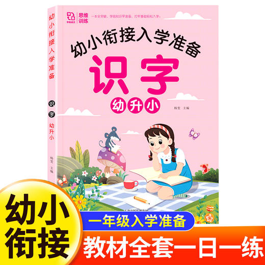 幼小衔接入学准备.识字幼升小 商品图0