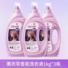 蔬果园贝蒂蓝薰衣草精油香氛洗衣液1kg 商品缩略图5