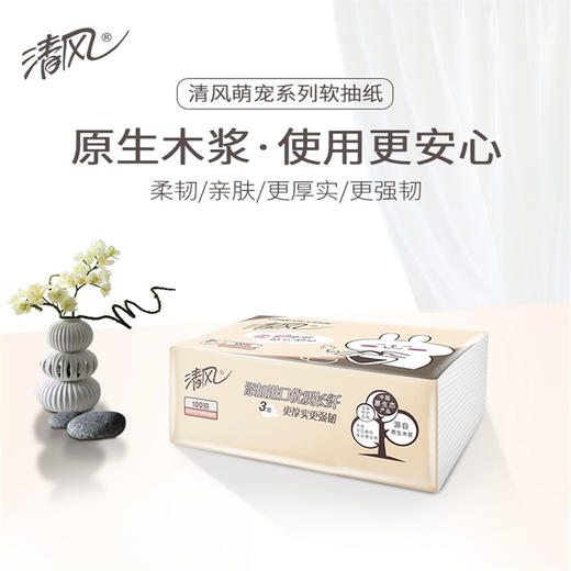 清风萌宠系列亲肤抽纸*1提，4包/提（3层*100抽/包）AR42STM1  6922266477355 商品图3