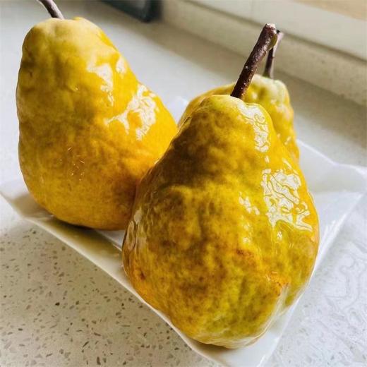【丑梨】山东青岛丑梨  3斤/4.5斤   单果200g+整箱发货 商品图4