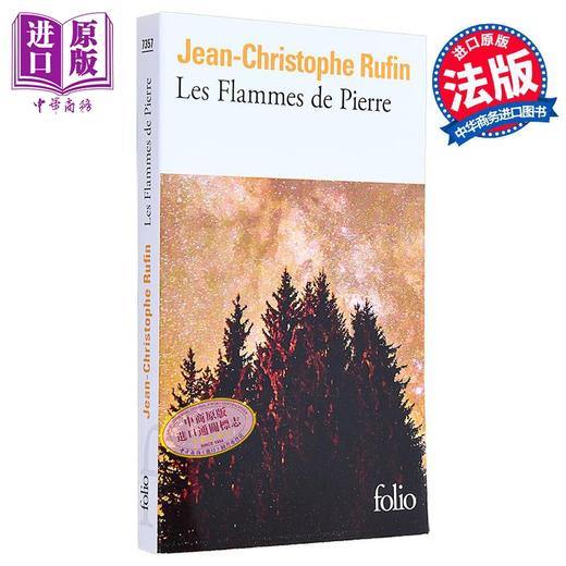 【中商原版】【法文版】石头火焰 Les flammes de pierre 法文原版  Jean Christophe Rufin 国际流行小说 爱情小说 商品图0