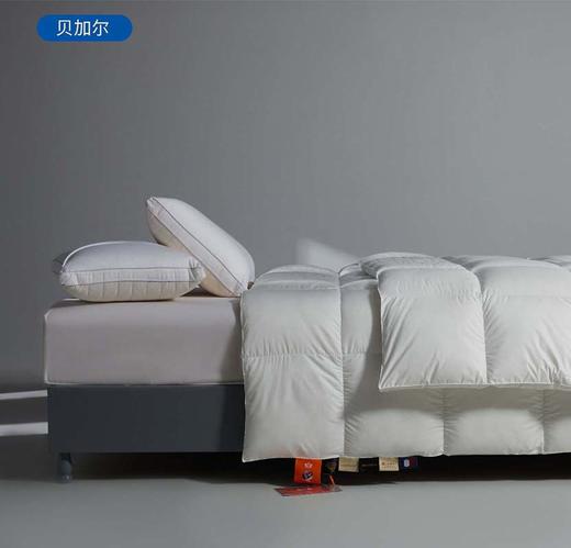 进口95白鹅绒被四季通用被子冬被加厚保暖羽绒被 石墨烯无痕 商品图6