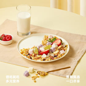 欧扎克玫瑰草莓400g