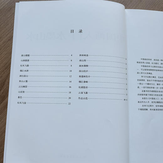 中国画入门.水墨山水 商品图1