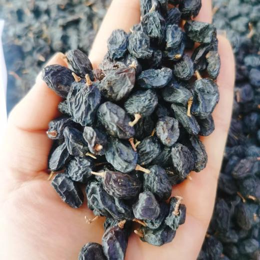 黑加仑葡萄干一斤 商品图0