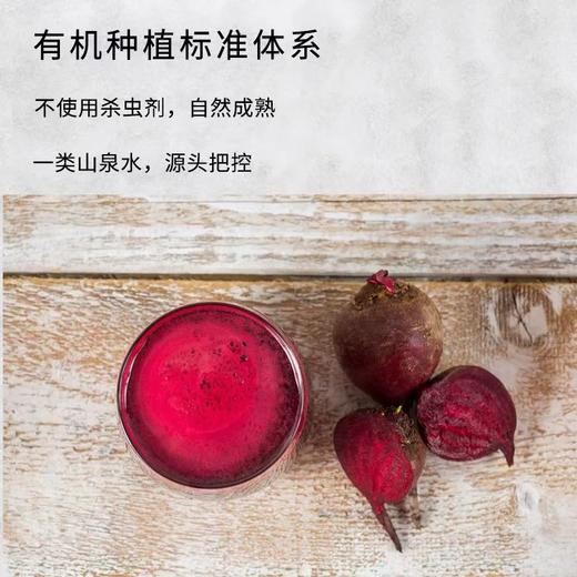 有机甜菜根 3/4.5斤（带皮带泥） 汁水饱满脆甜爽口坏果包赔 商品图4
