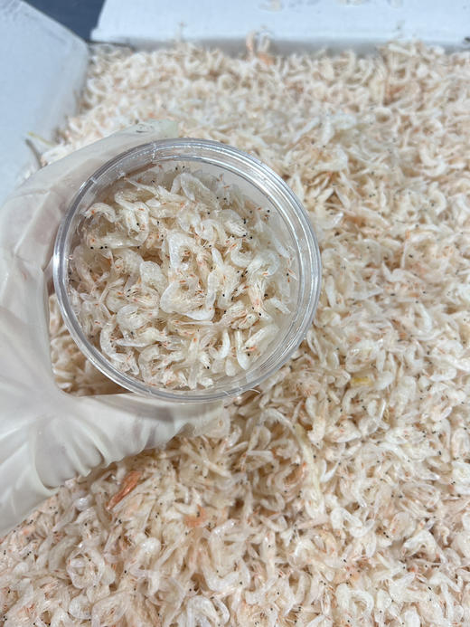 吕四本港海鲜 商品图9