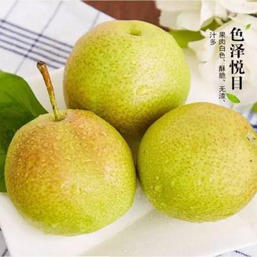 新鲜水果  脆甜多汁玉露香梨  500g 商品图1