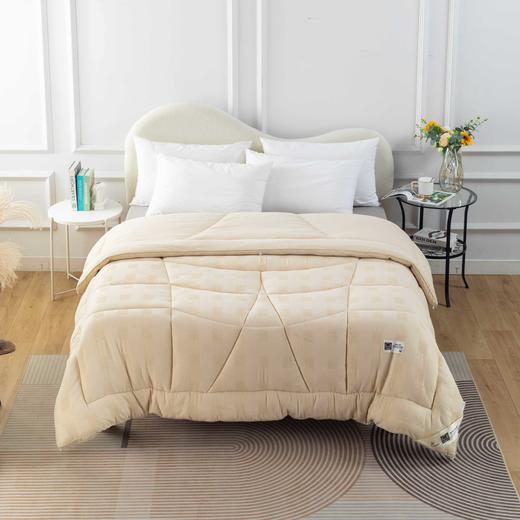 【远梦】澳洲羊羔毛双绒被 商品图2