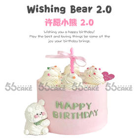 许愿小熊 2.0（提前5小时订购）