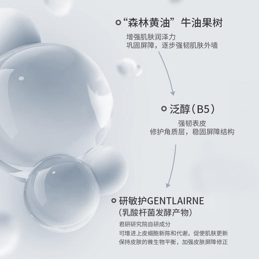 艾米莉乳木果舒润保湿乳院线装 商品图2