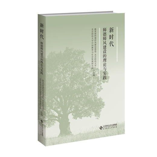 新时代师德师风建设的理论与实践 商品图0
