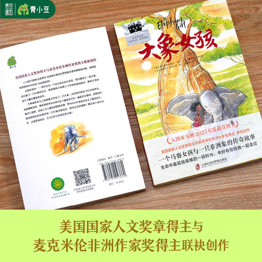 《大象女孩》 商品图1
